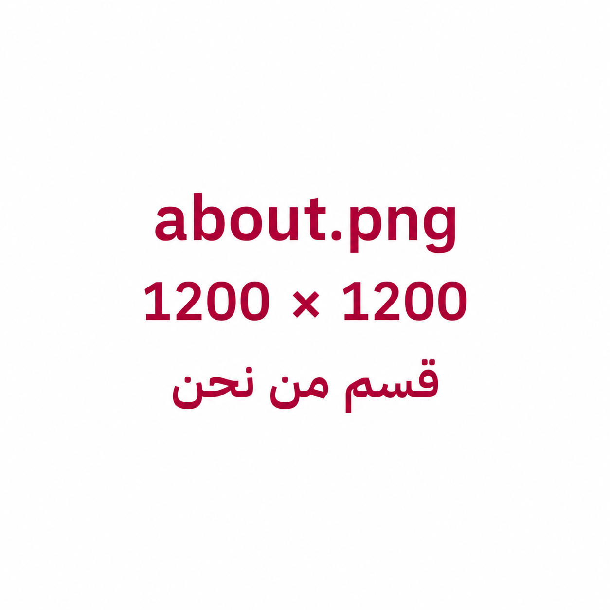 شركة المجراوي